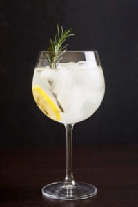 gin e tônica