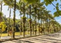 Esta cidade de Santa Catarina está entre as mais seguras do Brasil para morar