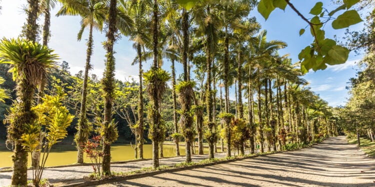 Esta cidade de Santa Catarina está entre as mais seguras do Brasil para morar