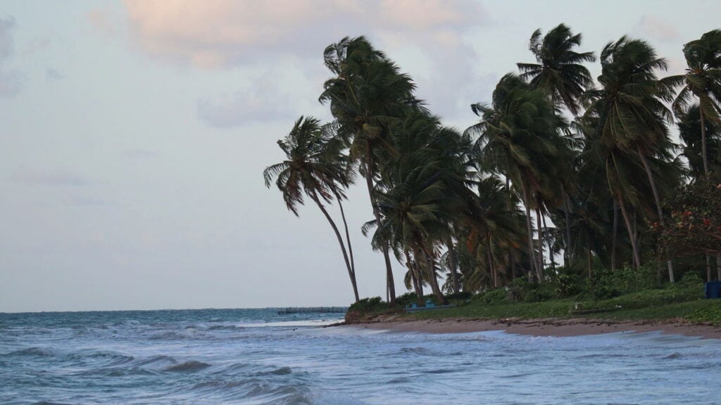 O tesouro escondido no litoral de Alagoas que parece o Caribe brasileiro
