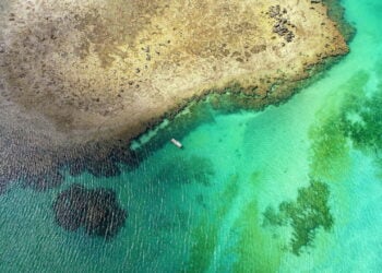 O tesouro escondido no litoral de Alagoas que parece o Caribe brasileiro