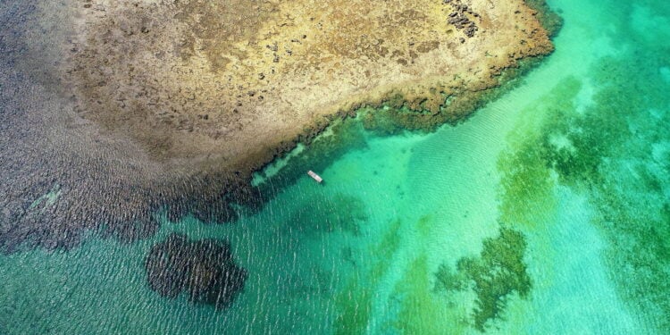 O tesouro escondido no litoral de Alagoas que parece o Caribe brasileiro