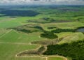 A cidade em Pernambuco que une tradição, arte e natureza no alto da serra