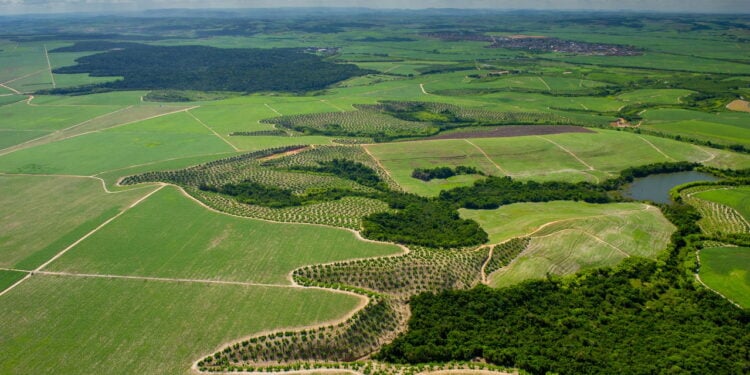 A cidade em Pernambuco que une tradição, arte e natureza no alto da serra