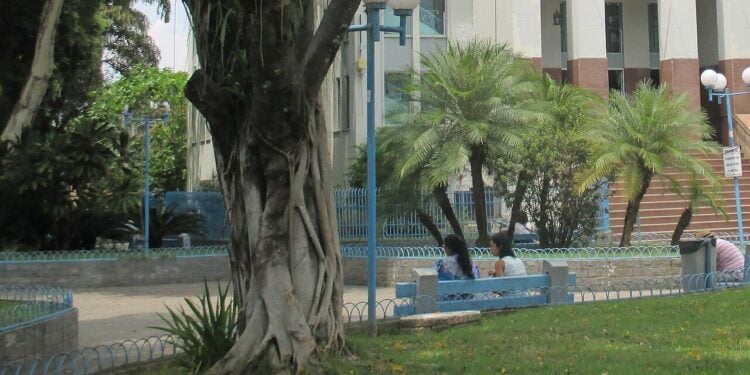 Essa vila simples no RJ revelou um dos maiores gênios do futebol
