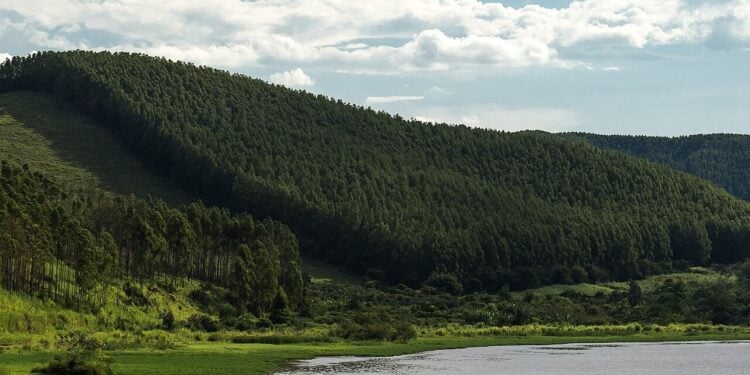 Existe um refúgio natural entre SP e RJ que está conquistando corações