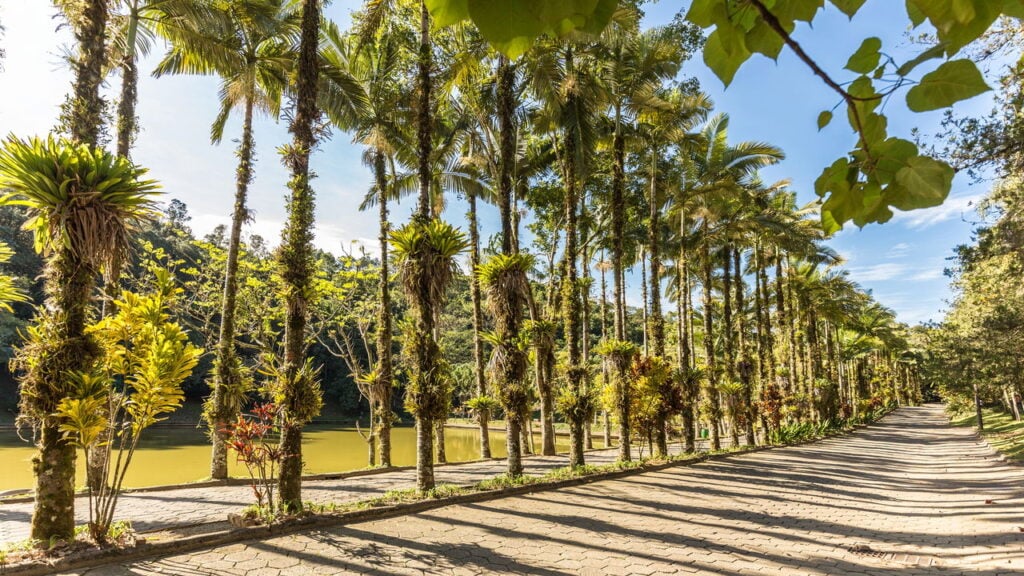 Viver bem e com segurança é realidade nestas cidades brasileiras