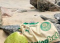 Como o Palmeiras ajudou a Warner Bros. Pictures em "Um Filme Minecraft"