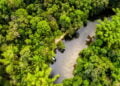 Cidades escondidas na floresta há 2.500 anos desafiam tudo o que sabíamos