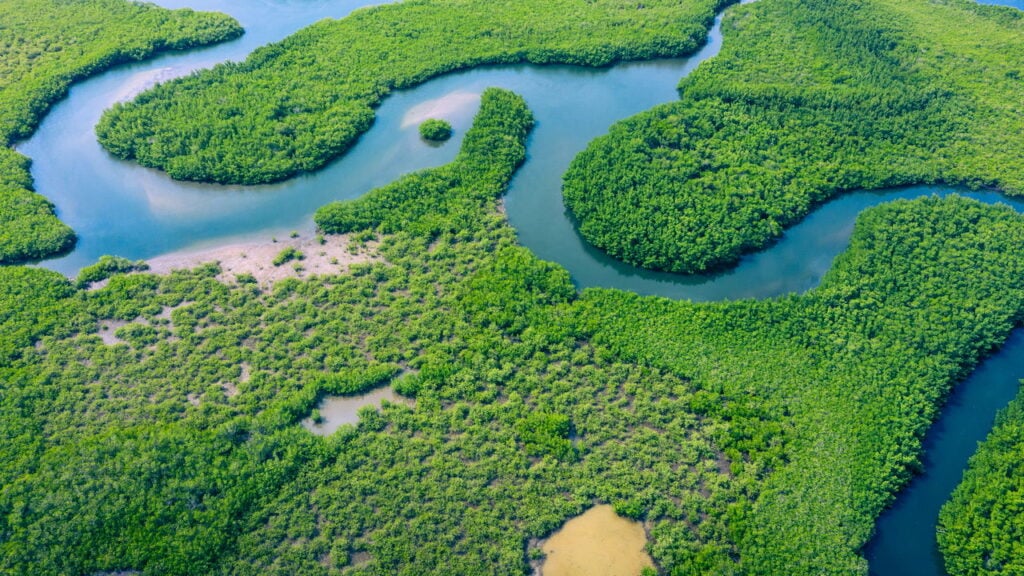 Cidades escondidas na floresta há 2.500 anos desafiam tudo o que sabíamos