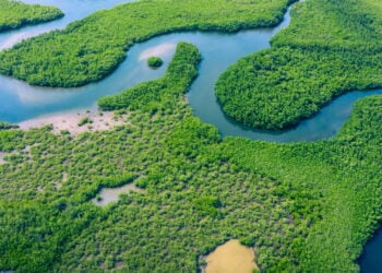 Cidade abandonada na Amazônia esconde ruínas, lendas e mistérios