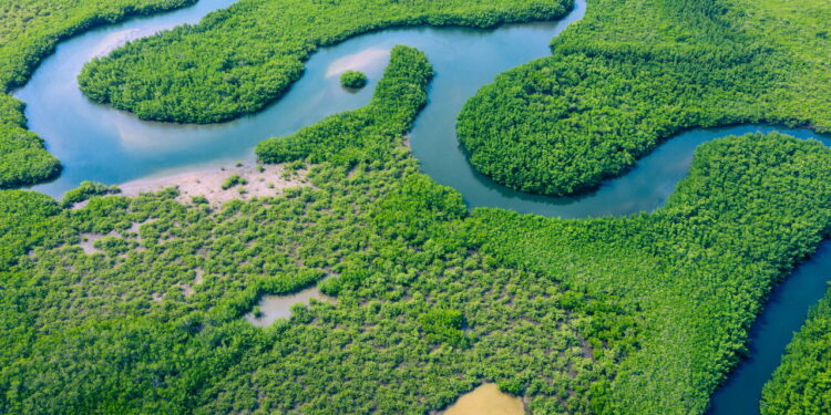 Cidade abandonada na Amazônia esconde ruínas, lendas e mistérios