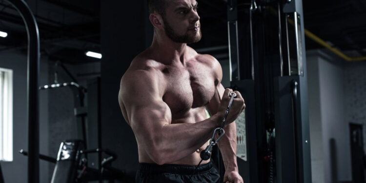 5 exercícios que transformam seus bíceps de forma rápida e segura