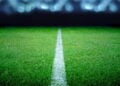 O que o Allianz Parque fez com o gramado vai deixar você impressionado