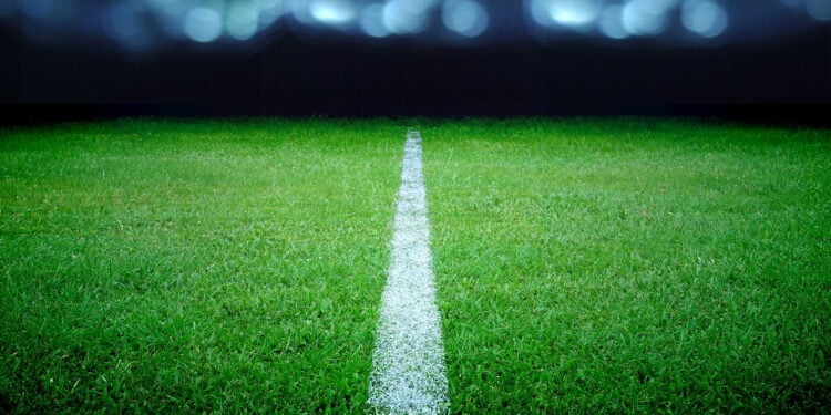 O que o Allianz Parque fez com o gramado vai deixar você impressionado