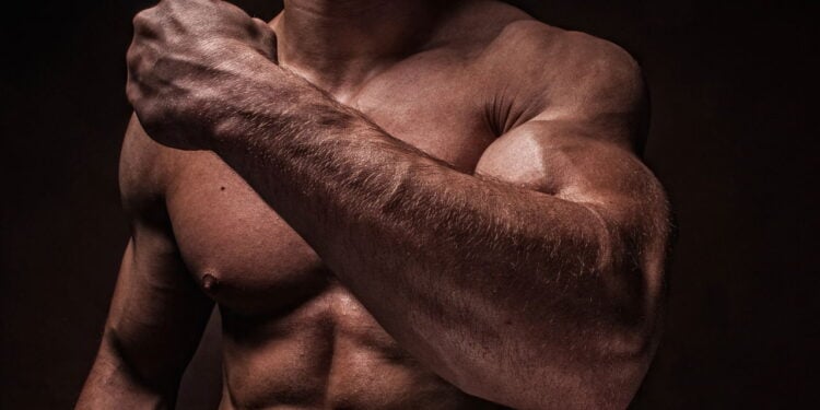 Guia prático para ganhar massa muscular com treinos inteligentes