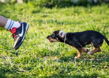 O tênis da Nike que promete mudar tudo no mundo da corrida