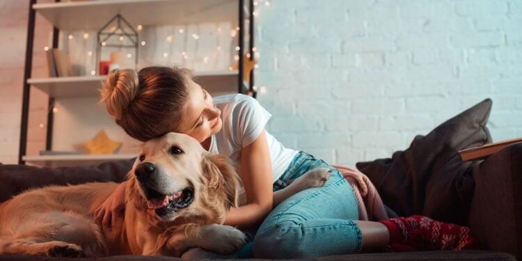A tecnologia que pode finalmente traduzir o que os animais sentem