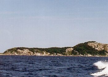 A ilha mais perigosa do Brasil tem o veneno mais letal do planeta