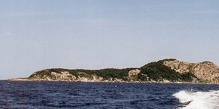 A ilha mais perigosa do Brasil tem o veneno mais letal do planeta