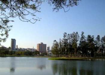 Esta cidade do interior criou o único brasileiro ouro olímpico na água