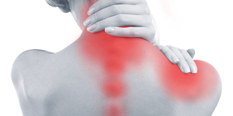 5 exercícios que ajudam a aliviar e prevenir dores nas costas
