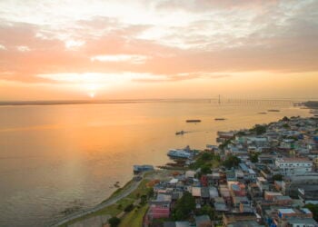 Cidade que joga bola entre árvores gigantes tem estádio de Copa do Mundo