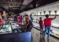 Esgrima entre tradição e inclusão no mundo digital