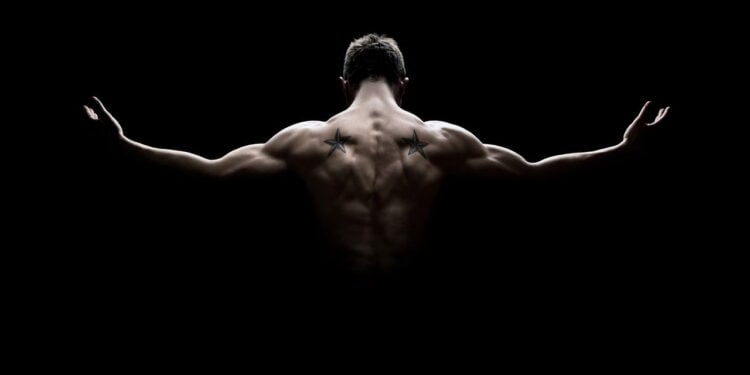 Faça esses exercícios para aumentar a força e a definição dos ombros!