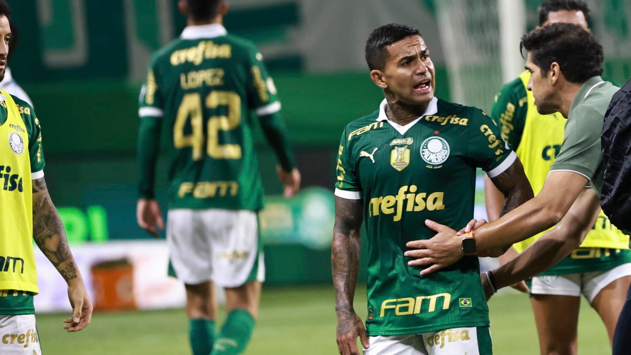 Palmeiras Inova: Tecnologia de Mineração Monitora Hidratação dos Jogadores e Otimiza o Desempenho