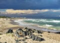 Evite imprevistos e aproveite Jeffreys Bay durante a WSL
