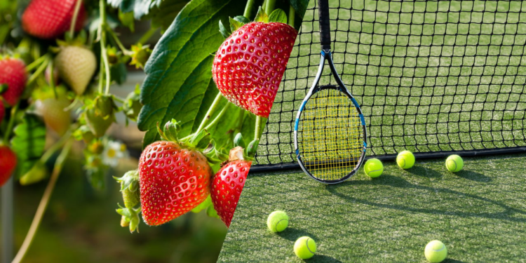 A fruta que conquistou a elite britânica virou ícone do tênis mundial