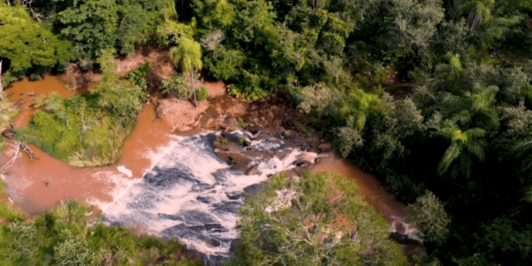 Melhor lugar do Brasil para aprender canoagem fica em SP
