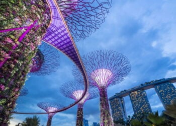 Dicas para aproveitar Singapura durante o campeonato de esportes aquáticos