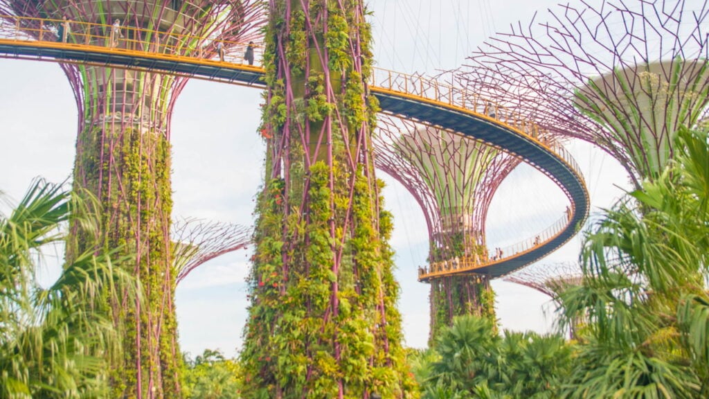 Gastronomia, lazer e cultura em Singapura durante o mundial aquático