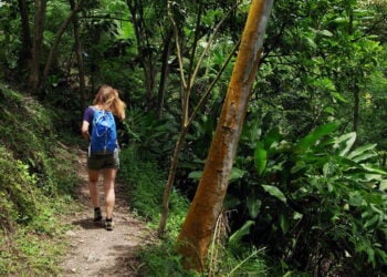 Trilha sem perrengue, como evitar riscos e curtir a experiência