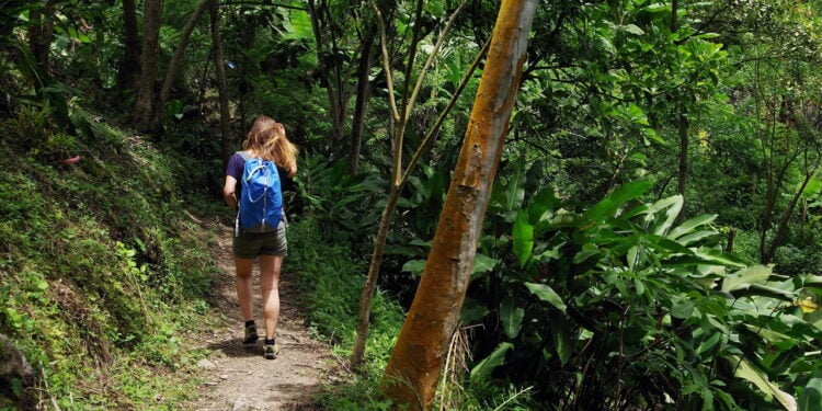 Trilha sem perrengue, como evitar riscos e curtir a experiência