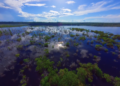 O maior labirinto aquático do planeta fica pertinho de Manaus