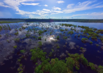 O maior labirinto aquático do planeta fica pertinho de Manaus