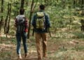 Explore a natureza com aplicativos de trilhas em tempo real!