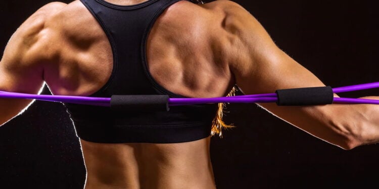 Top 3 exercícios para fortalecer as costas e melhorar e ficar sarado!