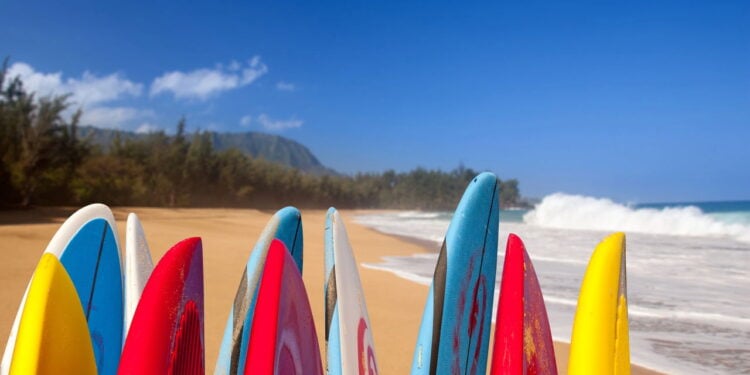 Estampas de pranchas de surfe influenciam a moda