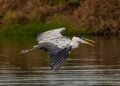 Parque brasileiro oferece arvorismo, canoagem e trilhas em três biomas únicos