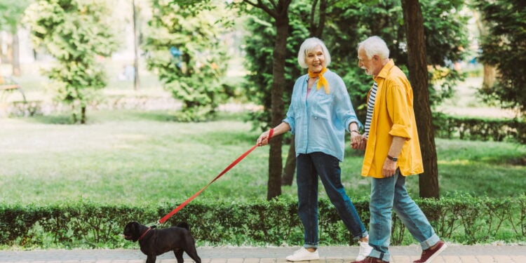 O que acontece com seu corpo após caminhar todos os dias