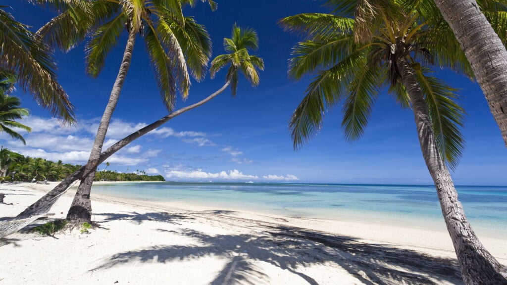 Como chegar a Fiji e assistir à WSL Finals 2025 em Cloudbreak