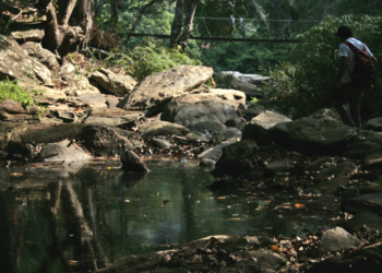 Essa cidade no Ceará combina clima fresco com trilhas e cachoeiras