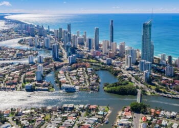 Cientistas descobrem um novo inseto enorme na Austrália