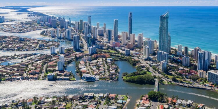 Cientistas descobrem um novo inseto enorme na Austrália