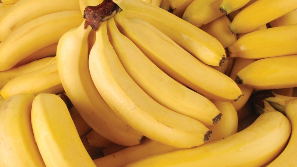 Essa fruta é o segredo de Rafael Nadal para nunca cansar
