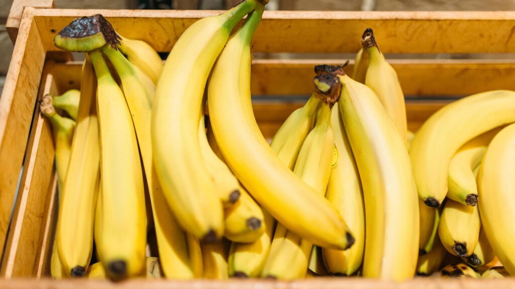 Essa fruta é o segredo de Rafael Nadal para nunca cansar